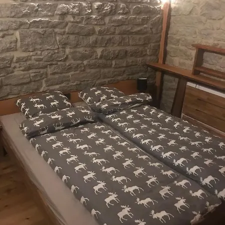 T's Apartment *